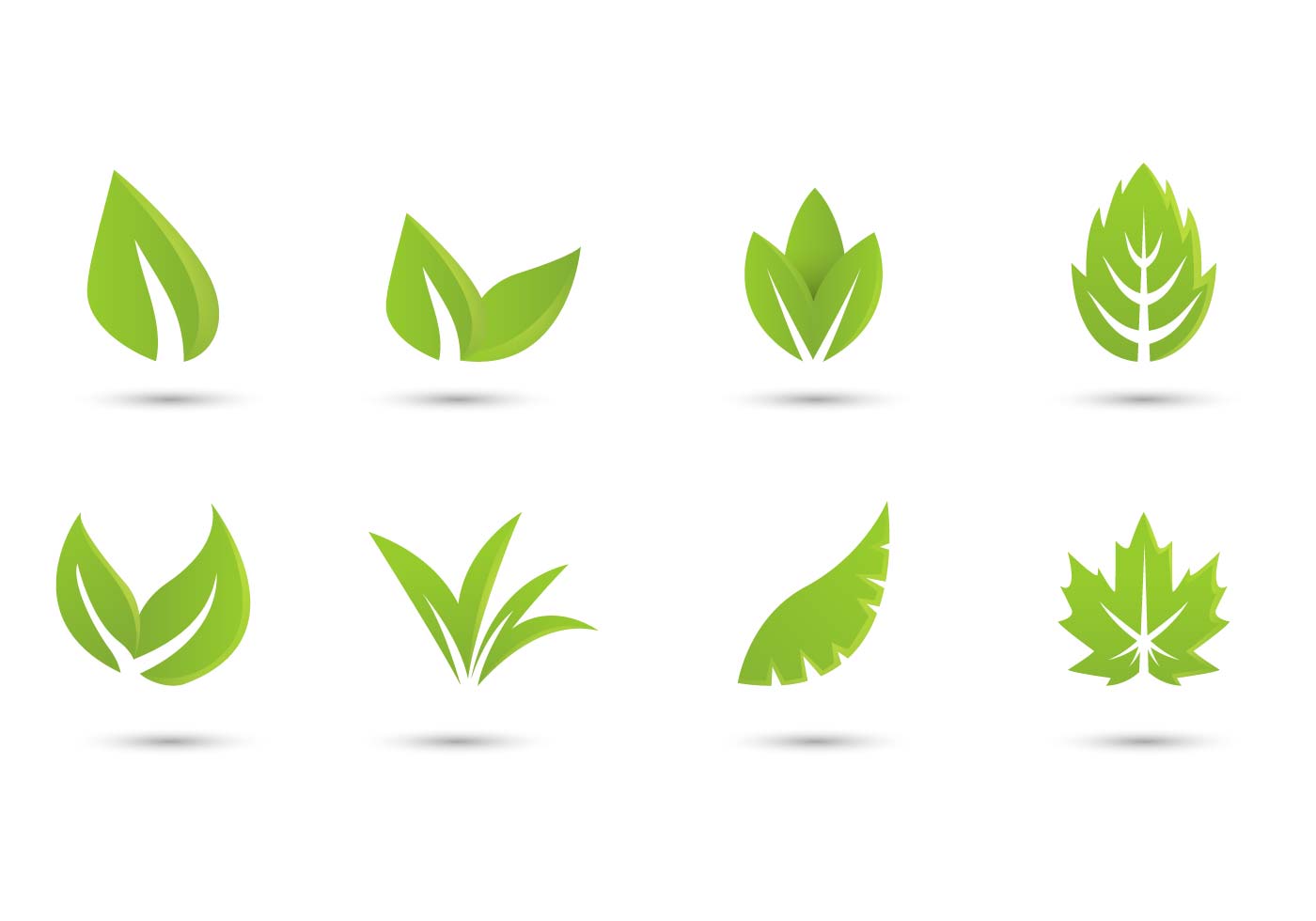 Leaves icon