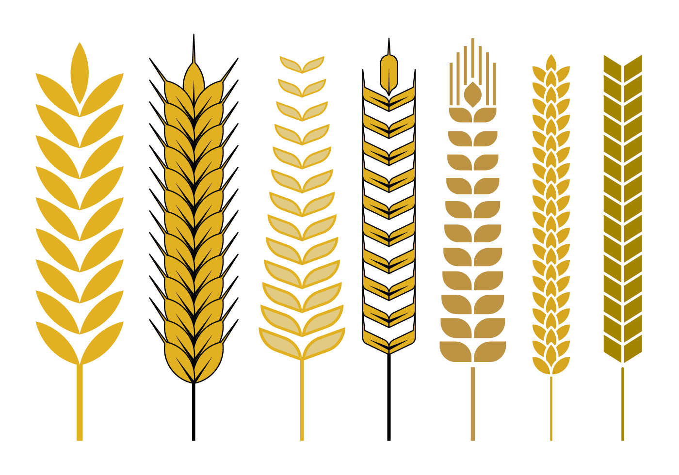 Wheat Stalk Vector - Download Free Vector Art, Stock Graphics & Images