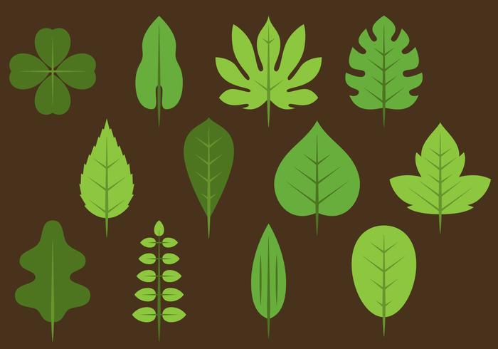 Green Leaves Icons vector