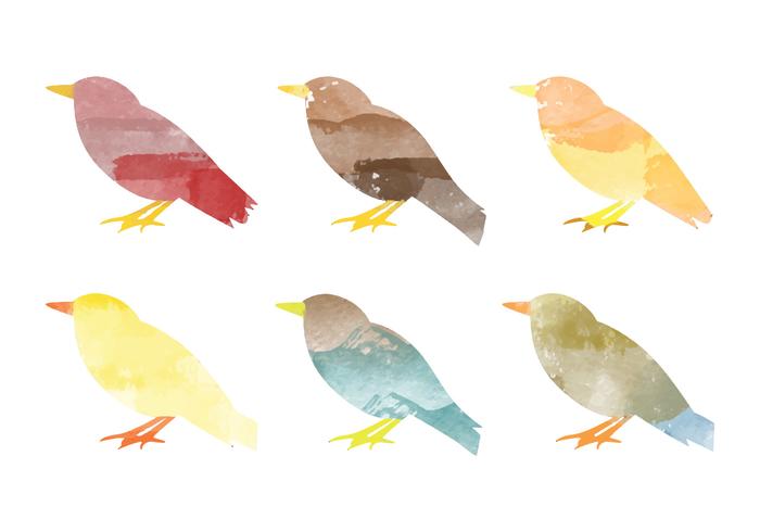 Vector Watercolor Bird Collection