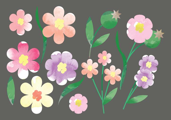 Vector Watercolor Flowers