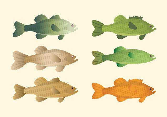 Colección de peces vectoriales vector