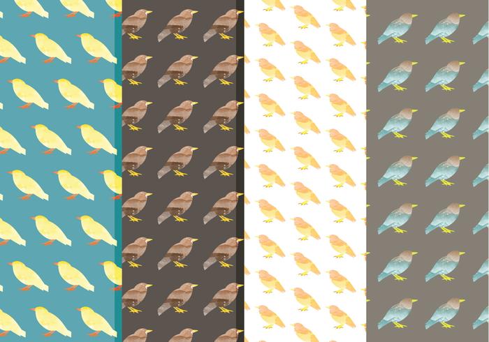 Vector Watercolor Bird Patterns