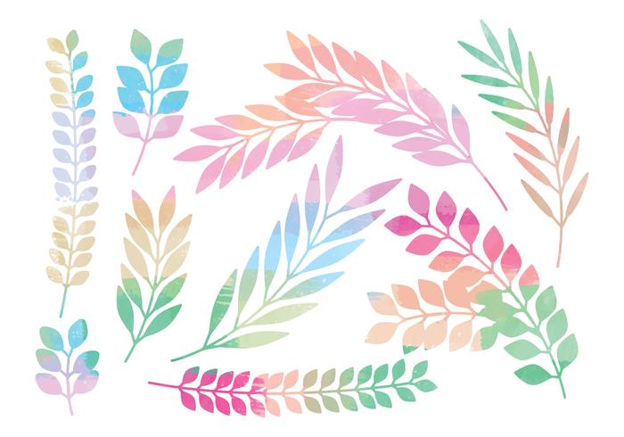 Colorful Vector Branches Set