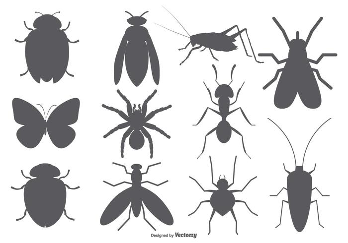 Insect Vector Shapes