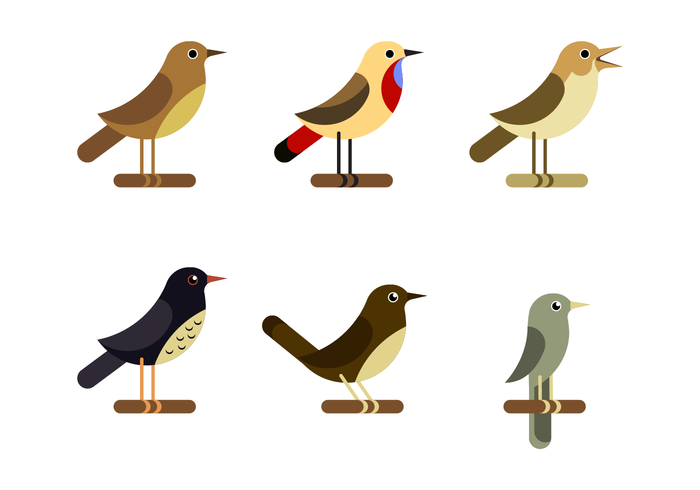 Free Nighttingale Vector Free Nighttingale Vector