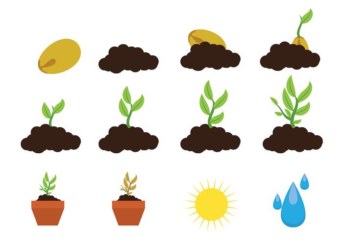 Crecer vector icono de la planta