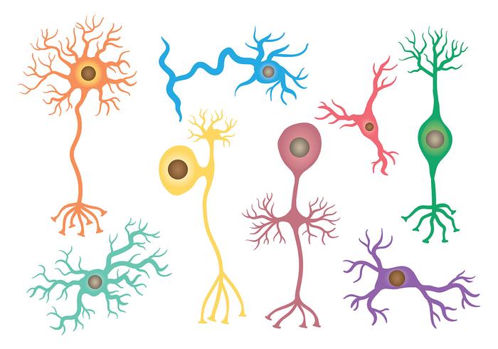 Free Neuron Icons Vector