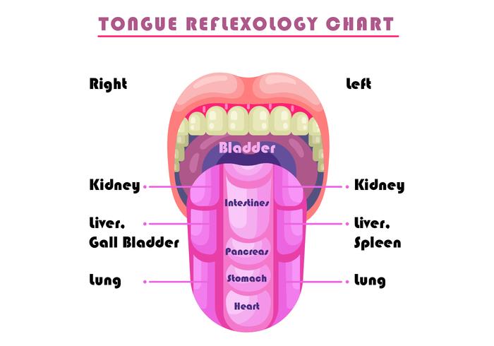 Vector de la carta reflejo de la lengua