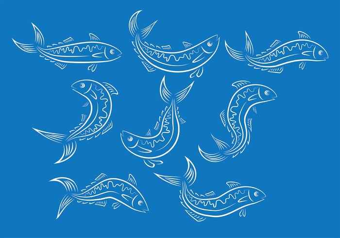 Mackerel Fish Vector Ions Mackerel Fish Vector Ions