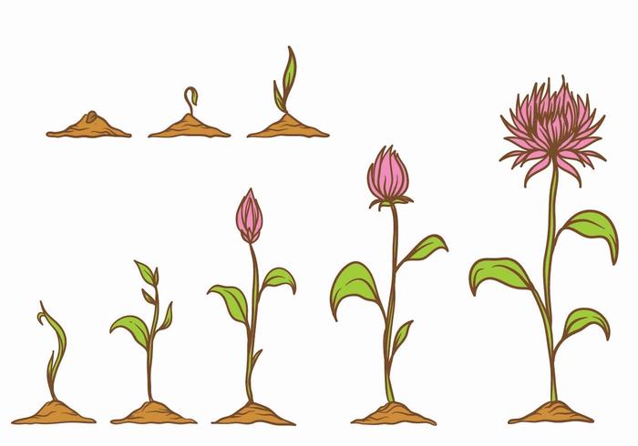 Grow Up Plant Set vector