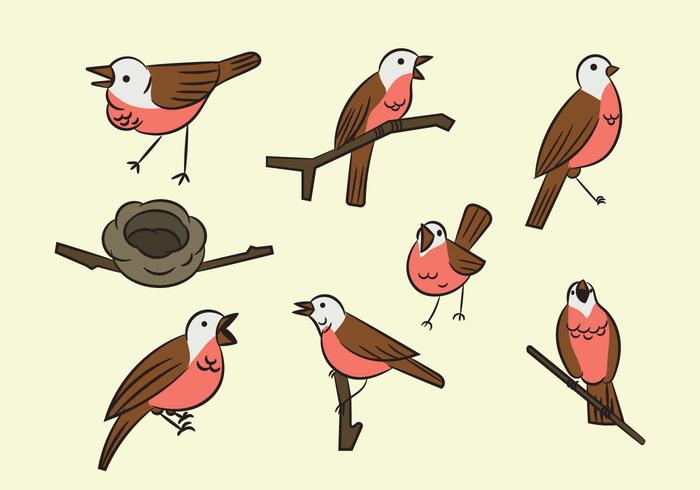Free Cartoon Nightingale Bird Free Cartoon Nightingale Bird