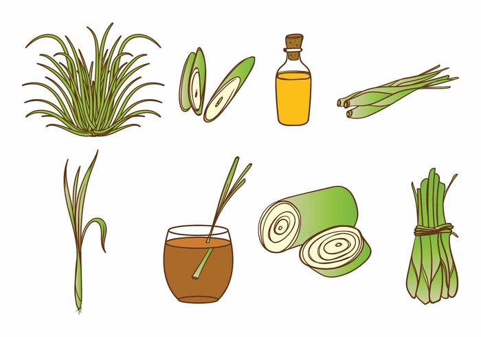 Lemongrass Icon Set vector