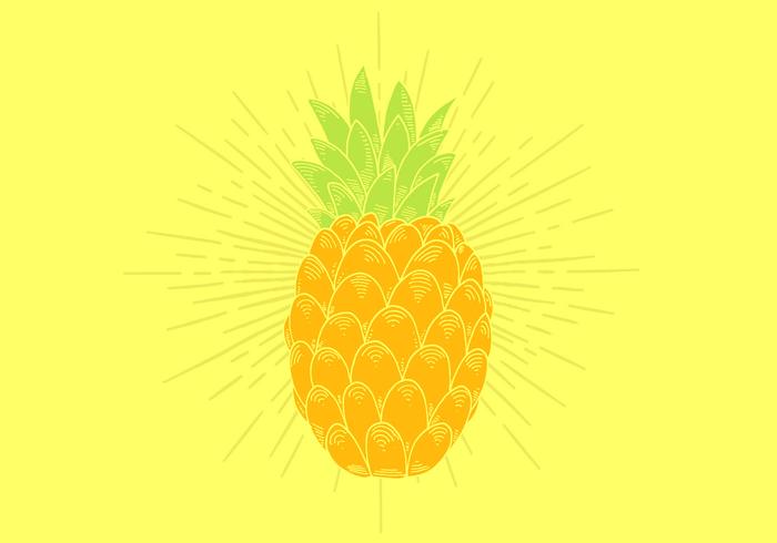 Pineapple Vector Pineapple Vector
