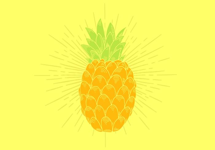 Vector de piña