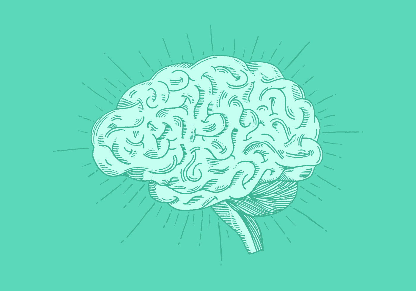 Bright Hand Drawn Brain Vector - Download Free Vector Art, Stock