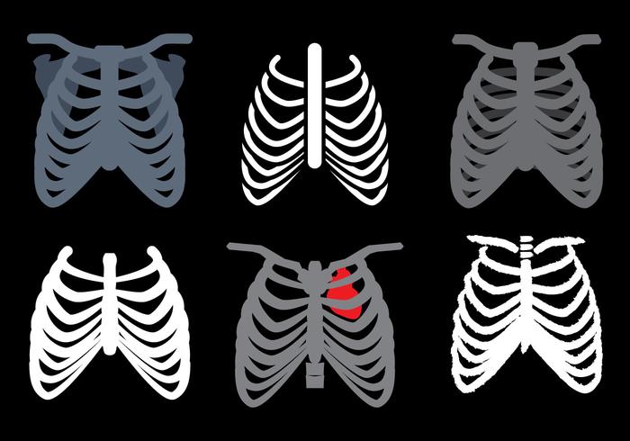 Vector de la caja torácica