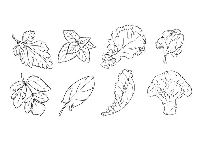 Free Hand Drawing Vegetables Vector