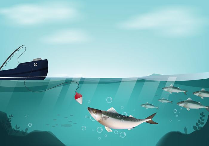 Mackerel Vector Mackerel Vector