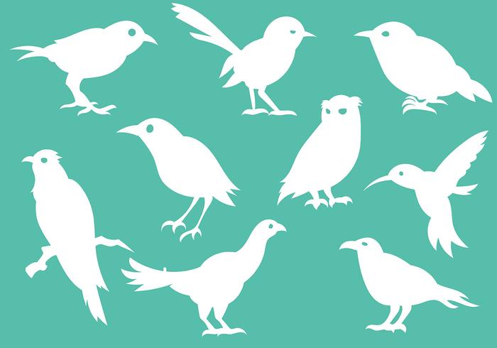 Iconos de silueta de aves gratis Vector