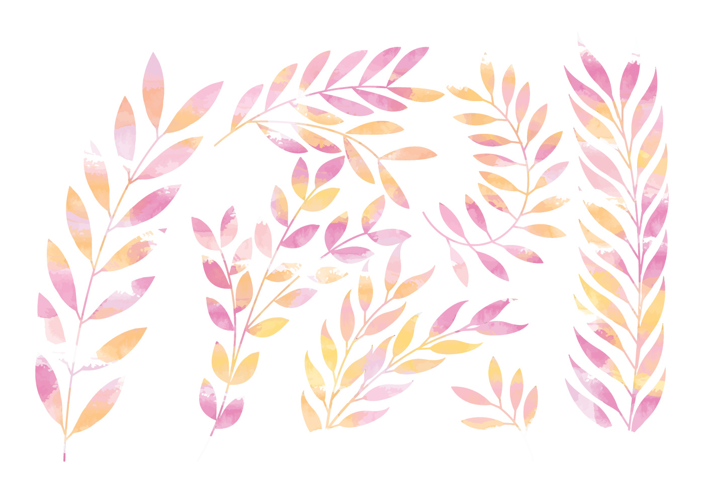 Vector Pink Floral Branches Download Free Vector Art, Stock Graphics