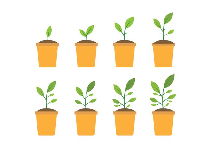 Free Grow Up Plant Icons vector
