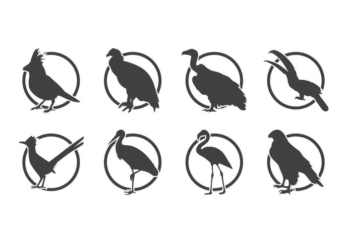 Bird Silhoutte Logo Vector