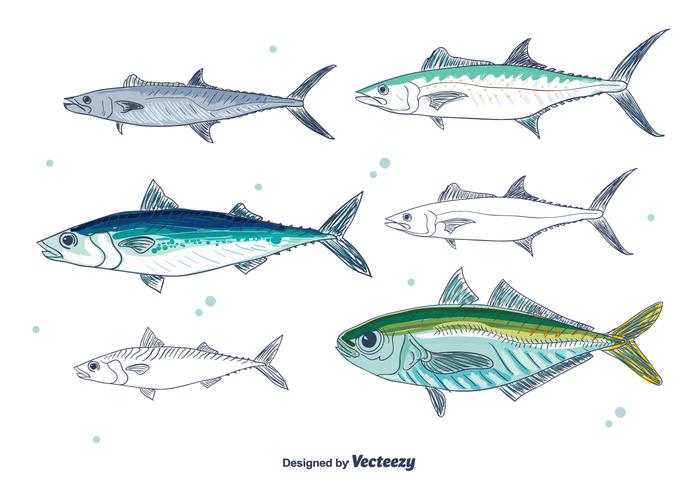 Mackerel Vector