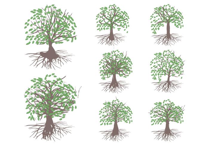 Celtic Tree Vector