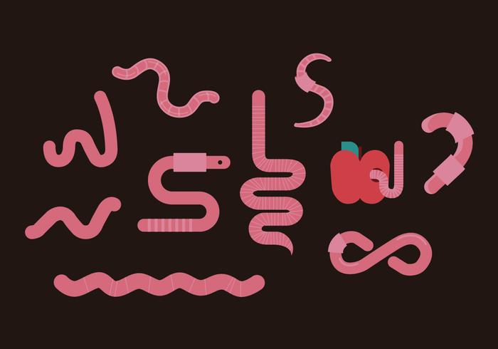 Earthworm Illustration Set Earthworm Illustration Set