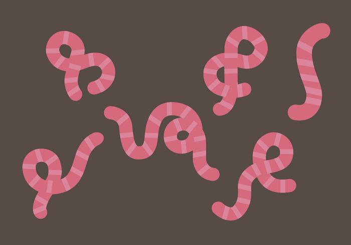 Earthworm Illustration Set Earthworm Illustration Set
