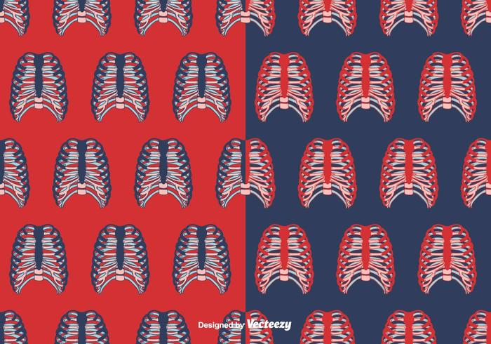 Rib Cage Pattern vector