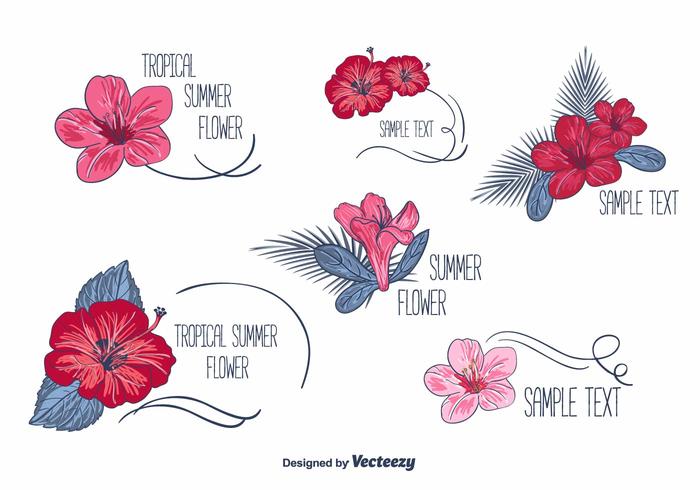 Vectores de las etiquetas florales