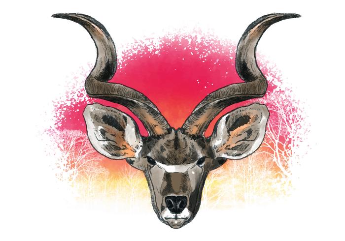 Vector decorativo de Kudu