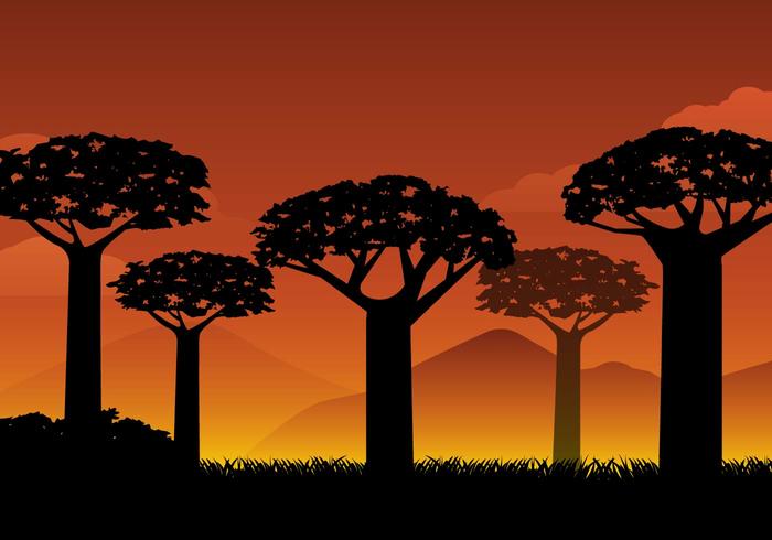 Free Silhouette Baobab Background Vector