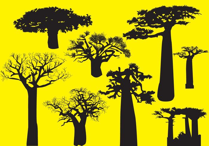 Árboles del Baobab de la silueta vector