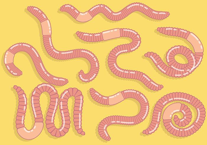 Free Earthworm Icons Vector