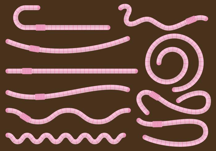 Cartoon Earthworms Cartoon Earthworms