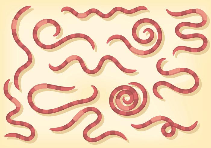 Free Earthworm Icons Vector