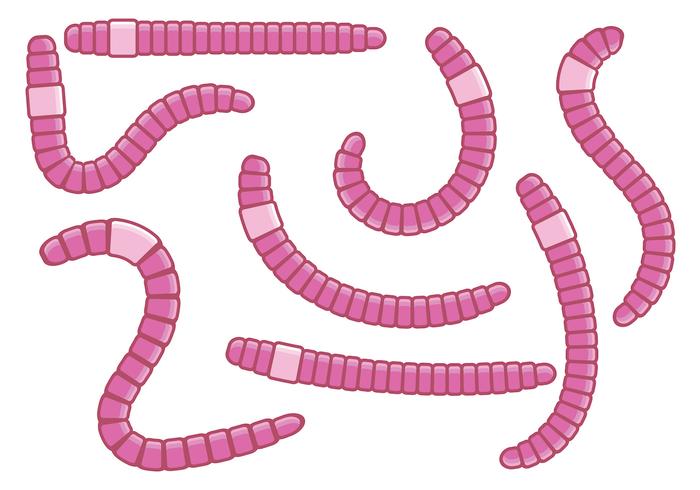 Fun Pink Earthworm Vectors Fun Pink Earthworm Vectors