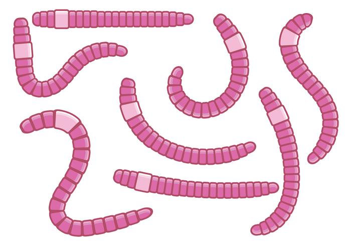 Fun Pink Earthworm Vectors