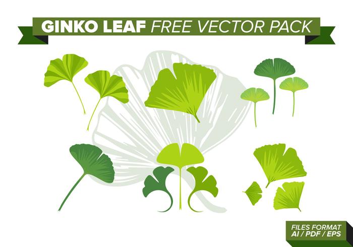 Ginko Leaf Free Vector Pack Ginko Leaf Free Vector Pack