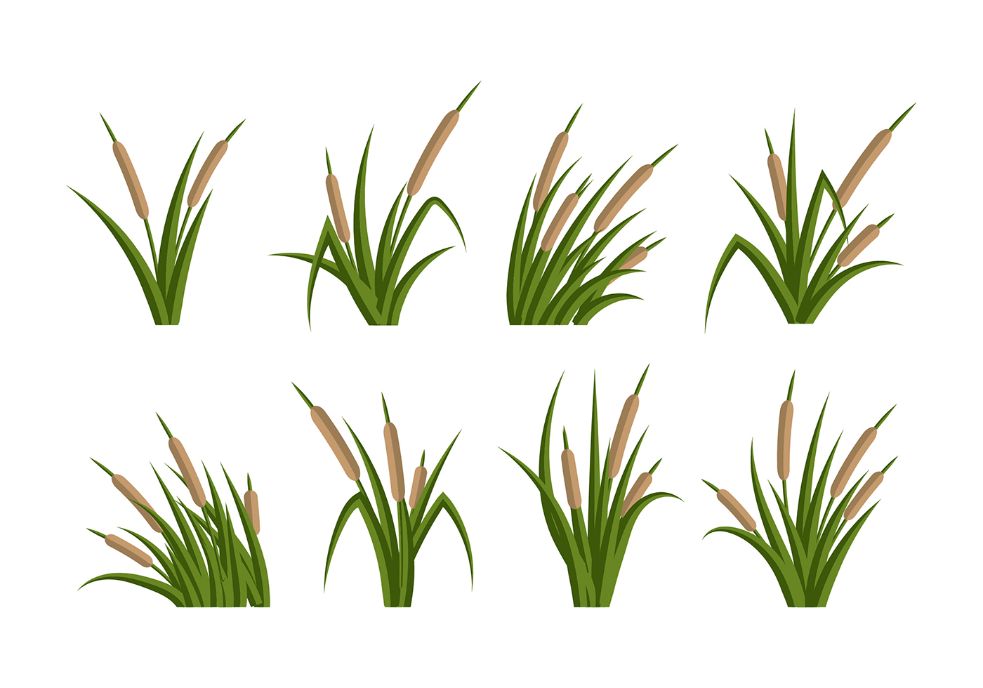 clipart cattails - photo #32