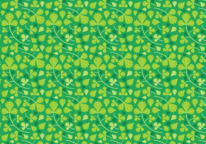 Free Herbs Vector Free Herbs Vector