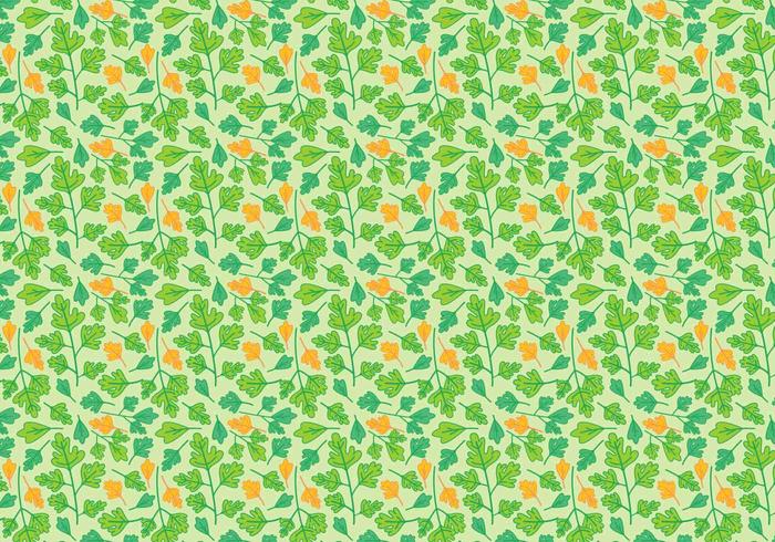 Free Herbs Vector Free Herbs Vector