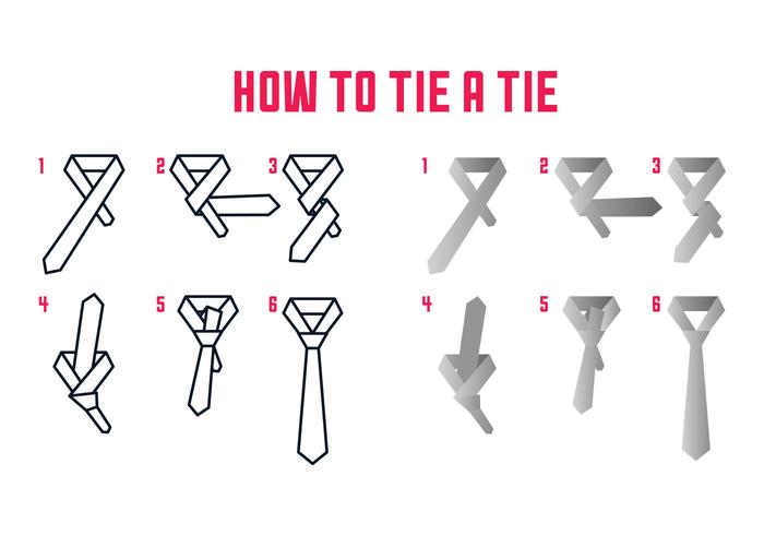 How To Tie Vector Instructios