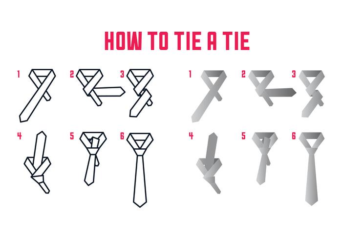 How To Tie Vector Instructios 119595 Vector Art at Vecteezy