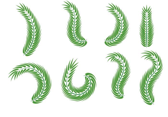 Palm Sunday Leaf Vectors