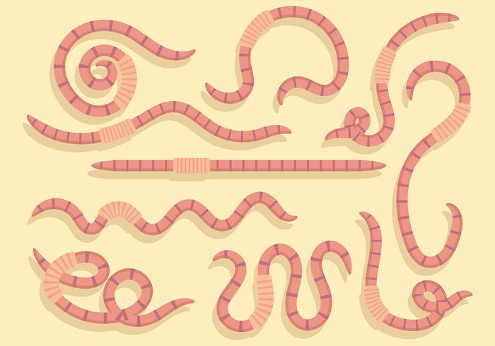 Free Earthworm Icons Vector