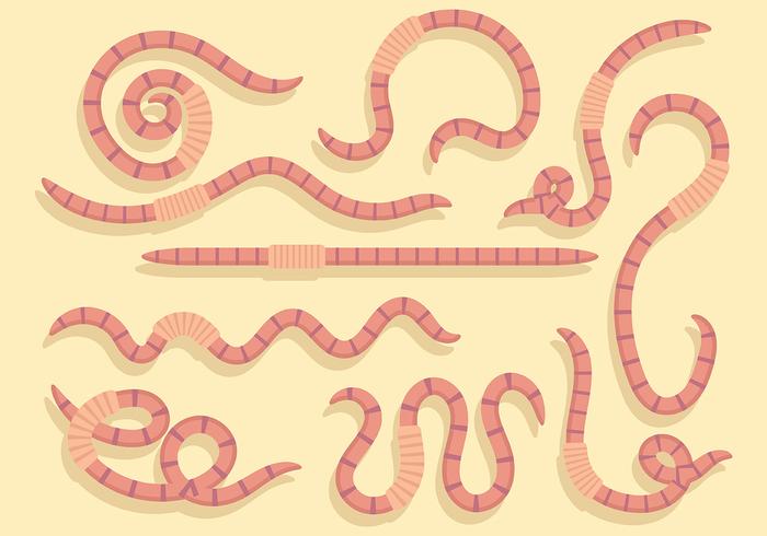 Free Earthworm Icons Vector